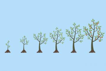 Growth growth