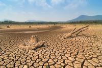 A wide landscape of dry, cracked earth, with some dry logs scattered around. There is some greenery below hills on the horizon, under a blue sky. Credit: 24Novembers - stock.adobe.com