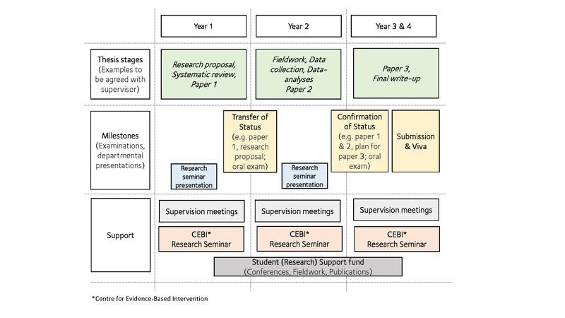 Social Intervention and Policy Evaluation doctoral study course structure diagram