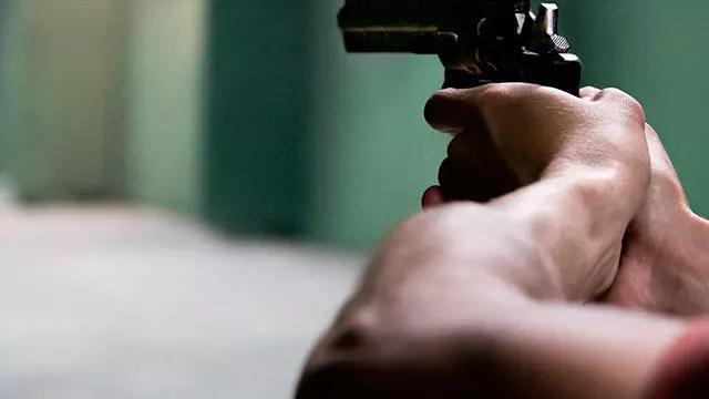 USgunlawsprojectsDSPI