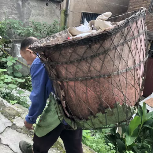 povertychinaprojectDSPI